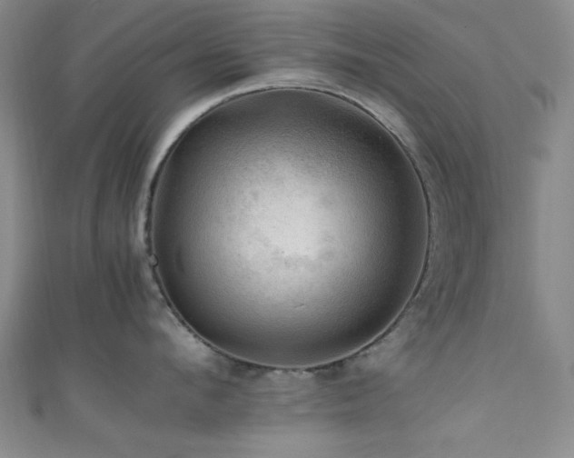 X0000111600912200907161550