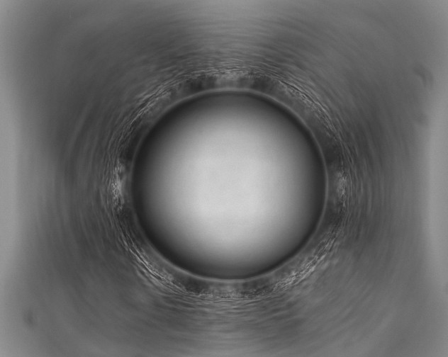 X0000111600914200907161550