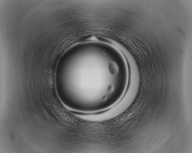 X0000111600916200907161550