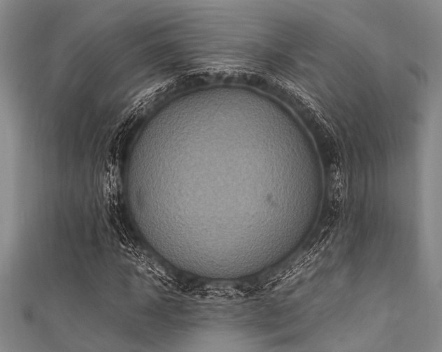 X0000111600918200907161550