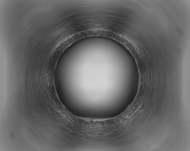 X0000111600919200907161550