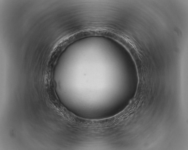 X0000111600920200907161550