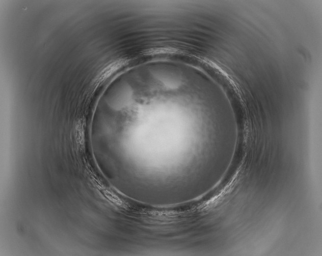 X0000111600921200907161550