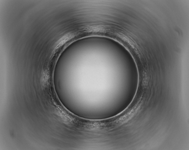 X0000111600922200907161550