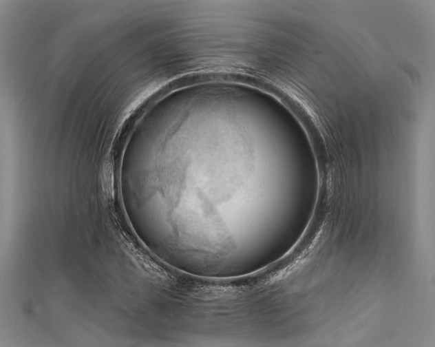 X0000111600925200907161550
