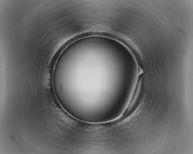 X0000111600926200907161550