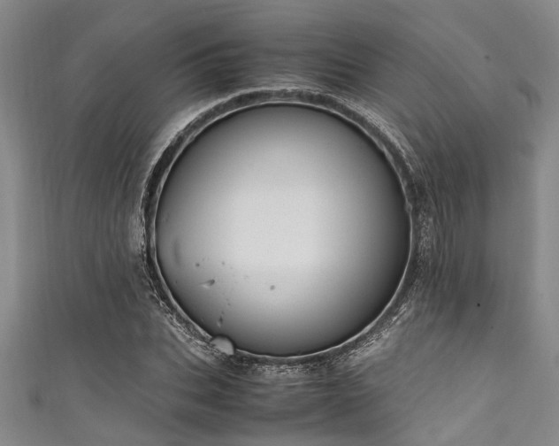 X0000111600927200907161550