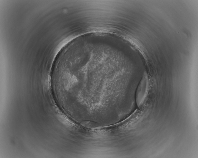 X0000111600928200907161550