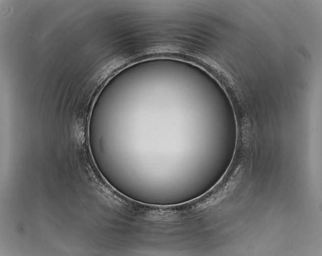 X0000111600929200907161550