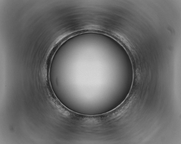 X0000111600931200907161550