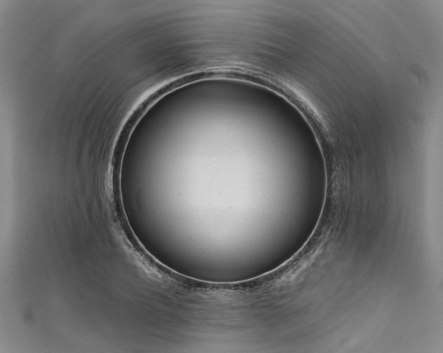 X0000111600932200907161550