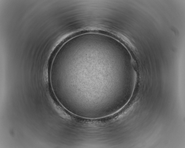 X0000111600934200907161550