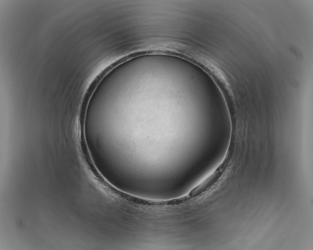 X0000111600936200907161550