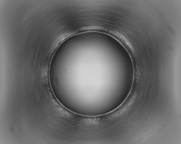 X0000111600937200907161550