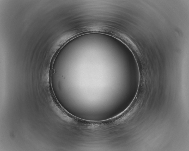 X0000111600938200907161550