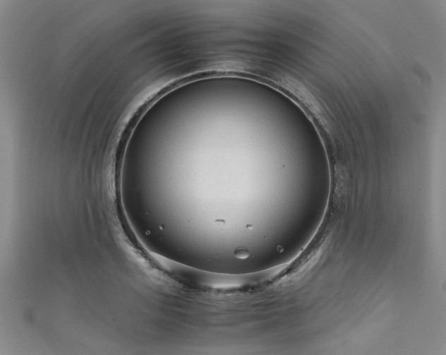 X0000111600939200907161550