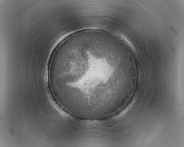X0000111600940200907161550