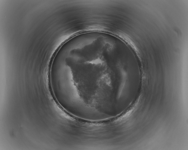 X0000111600941200907161550