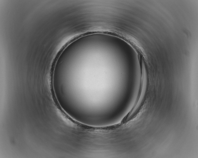 X0000111600942200907161550