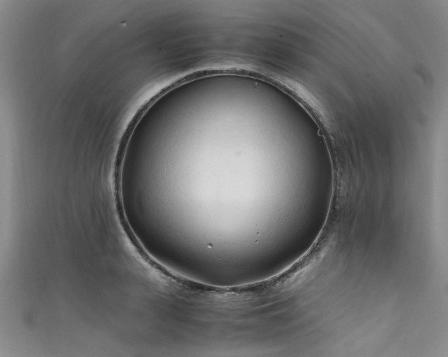 X0000111600943200907161550