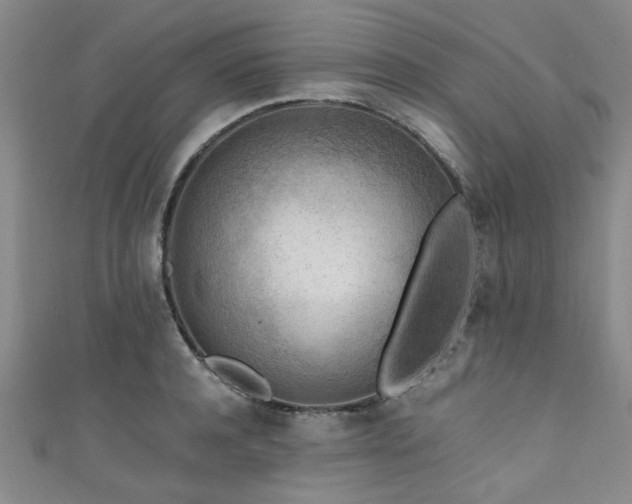 X0000111600944200907161550