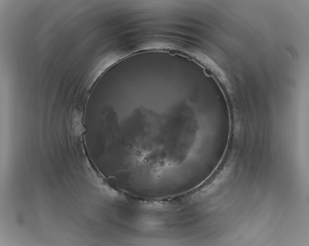 X0000111600945200907161550