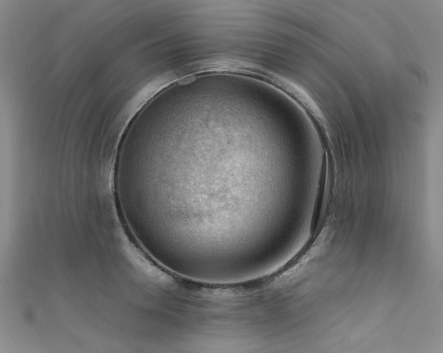 X0000111600946200907161550