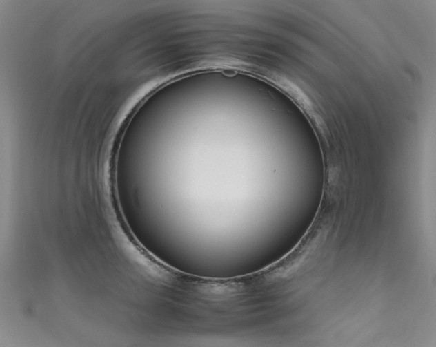 X0000111600947200907161550