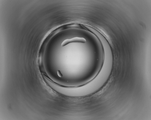 X0000111600948200907161550