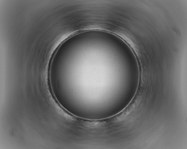 X0000111600949200907161550