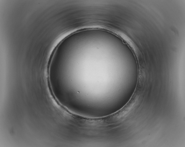 X0000111600951200907161550
