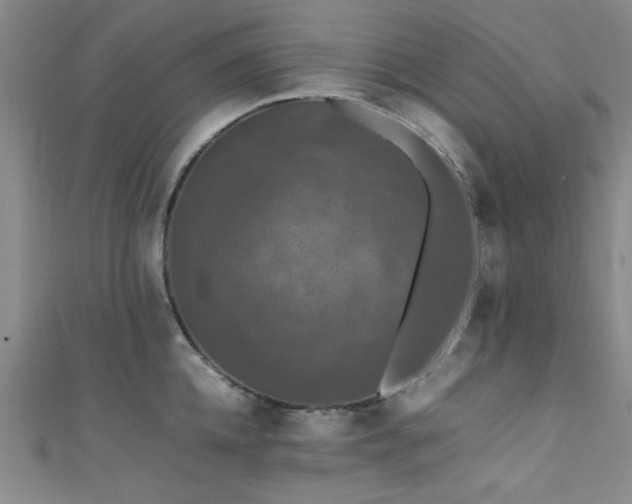X0000111600952200907161550