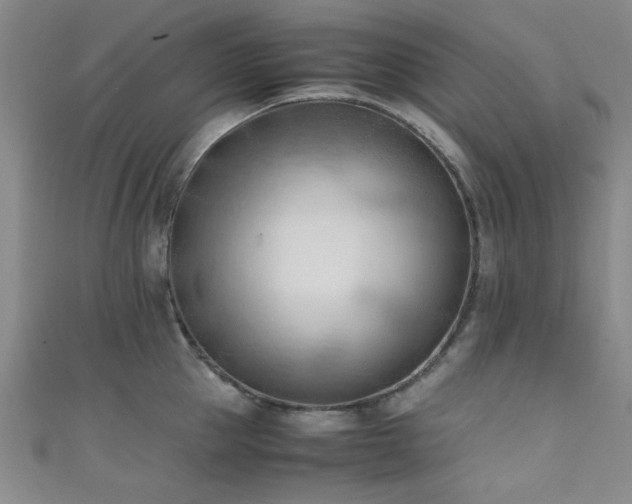 X0000111600953200907161550