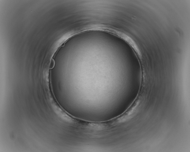 X0000111600954200907161550