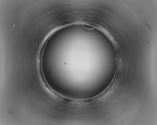 X0000111600955200907161550