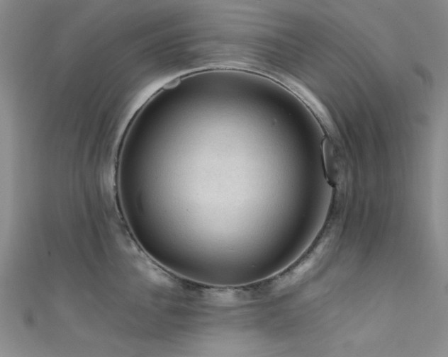 X0000111600956200907161550