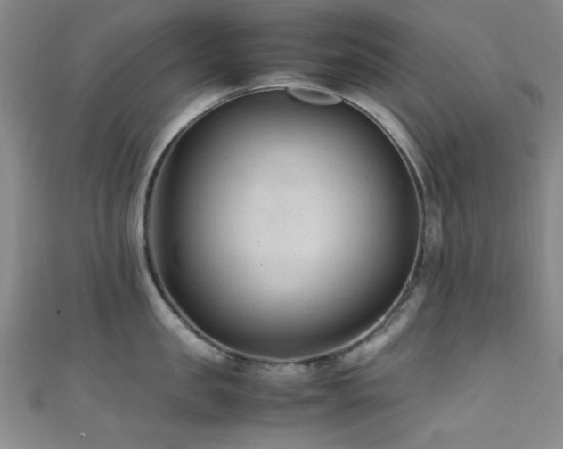 X0000111600957200907161550