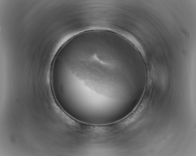 X0000111600958200907161550