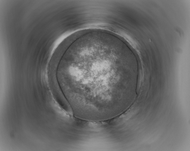 X0000111600960200907161550