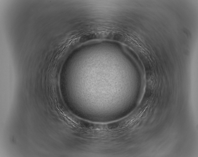 X0000111600961200907161549
