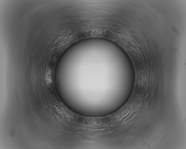 X0000111600962200907161549