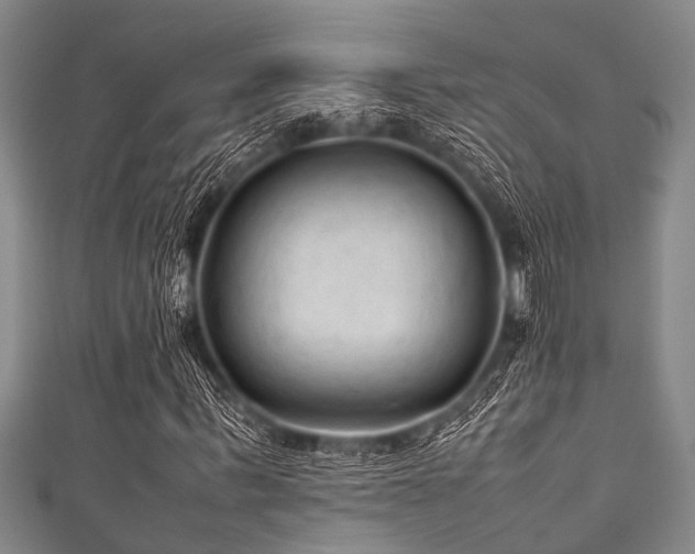 X0000111600963200907161549