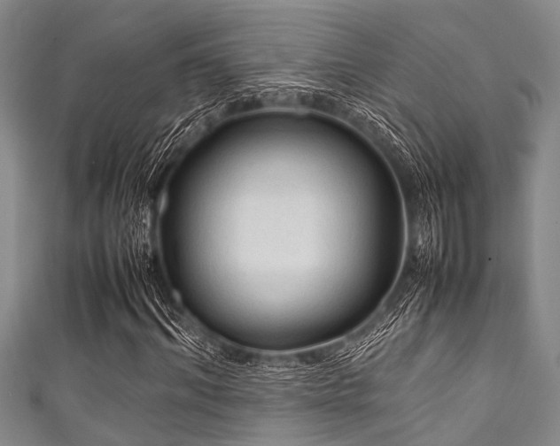X0000111600964200907161549