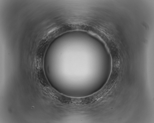 X0000111600965200907161549