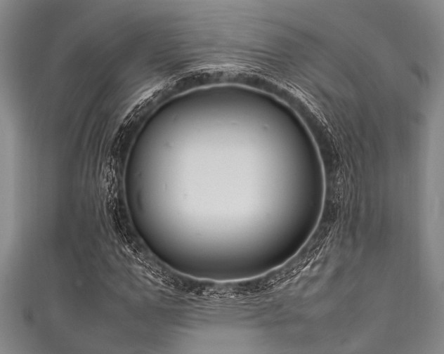 X0000111600967200907161549