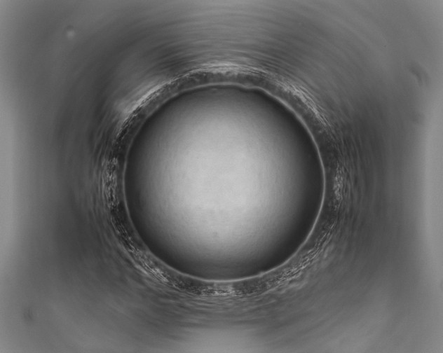 X0000111600968200907161549