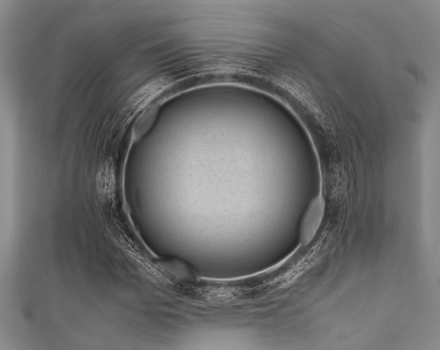 X0000111600969200907161549