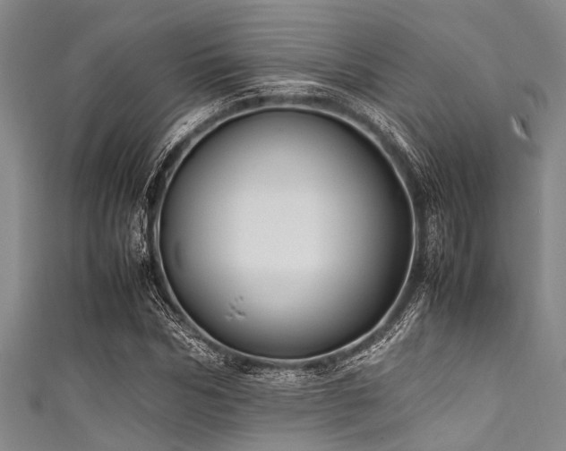 X0000111600970200907161549