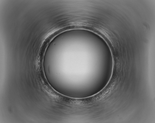 X0000111600971200907161549