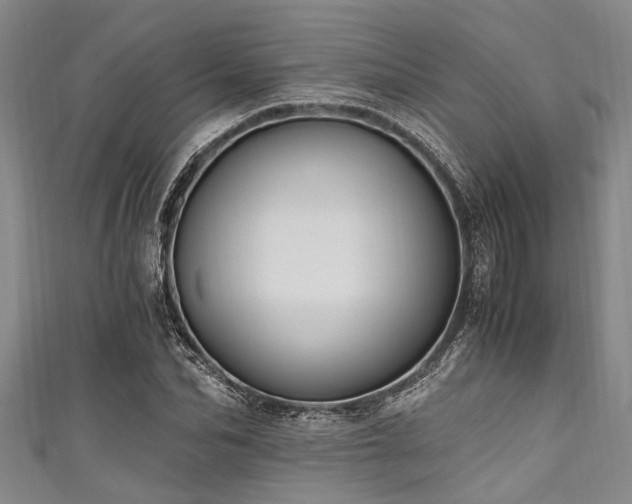 X0000111600974200907161549
